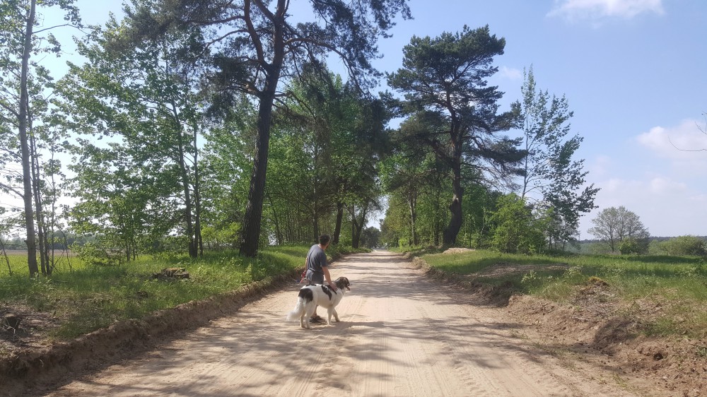 Joszko na spacerze