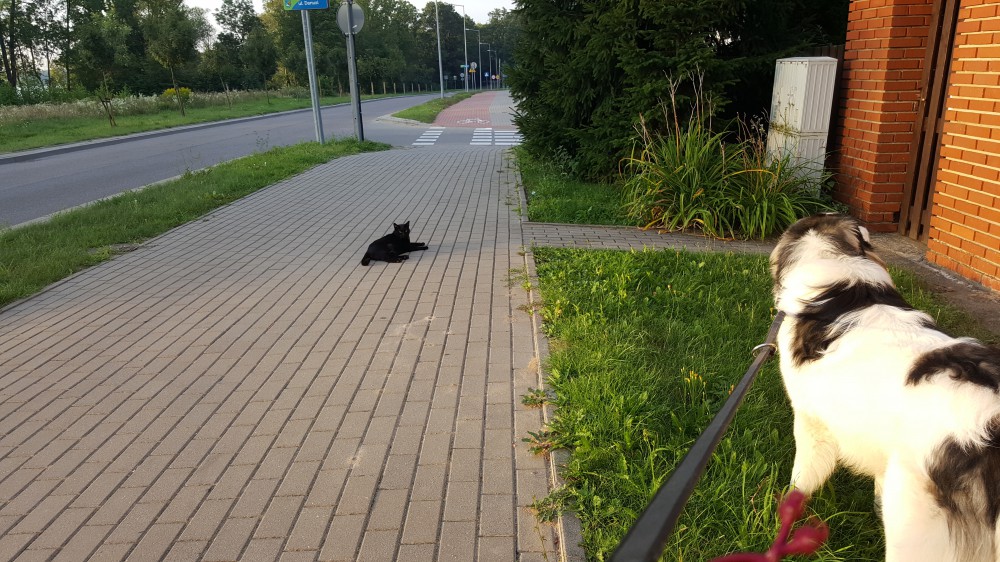 Joszko i towarzysząca mu Hanutka