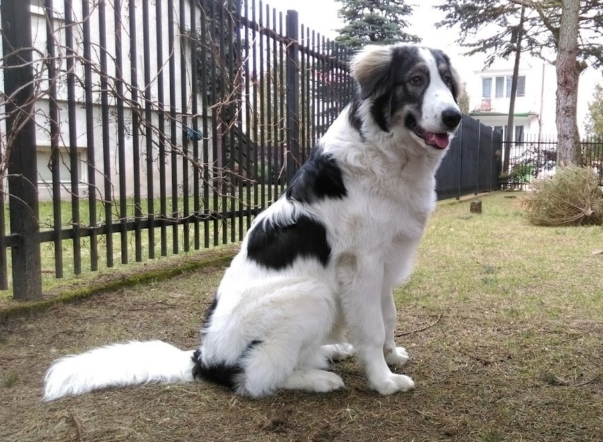 Hę?