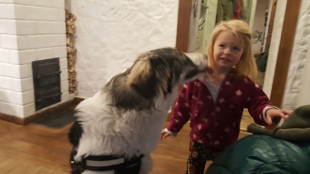 Tornjak i dziecko