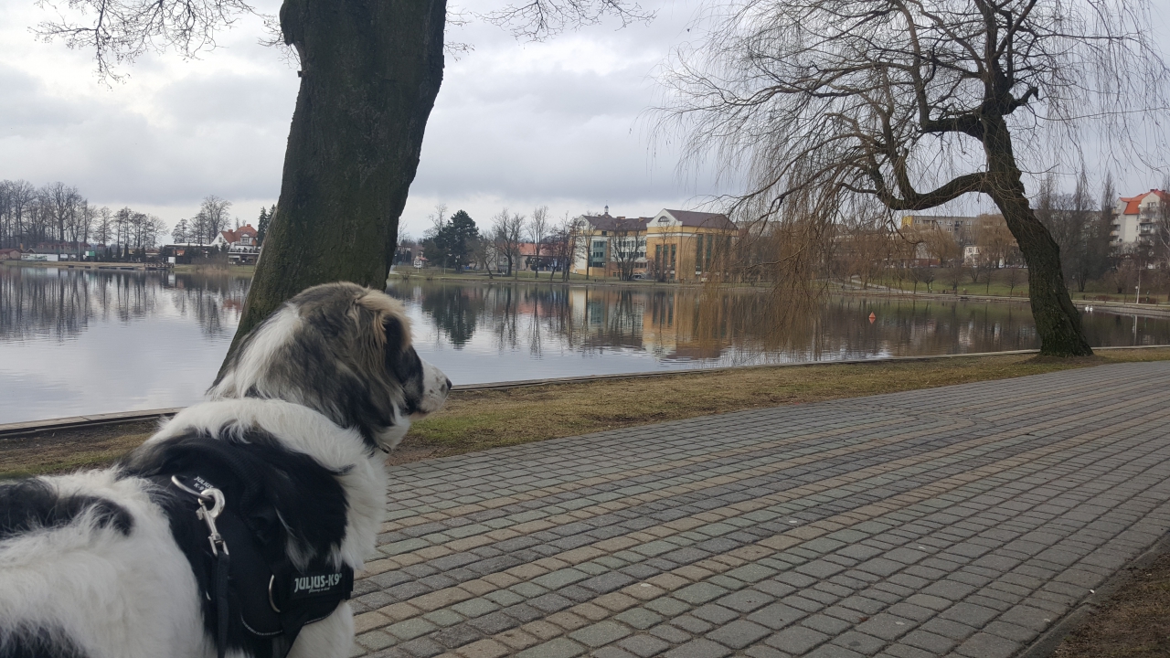 Opisów spacerów kumulacja, bo teraźniejszości nie możemy dogonić
