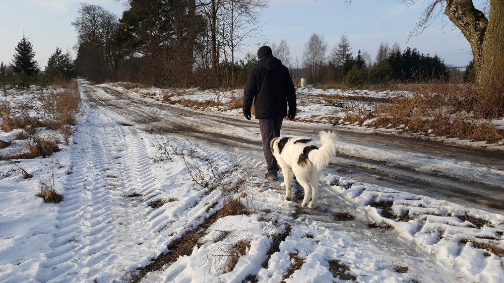Spacer wczesną zimą jakby