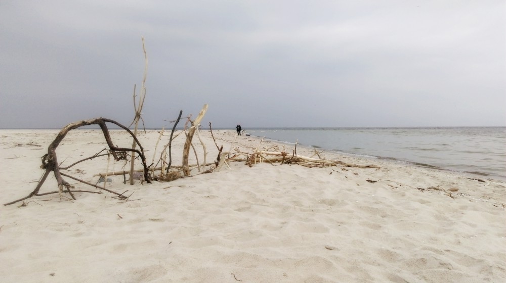 Sztuka plażowa