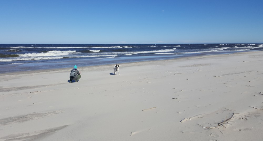 Sami na plaży
