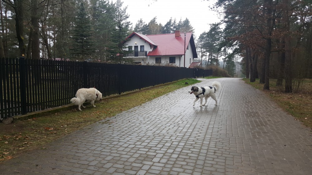 Razem, a jakby oddzielnie