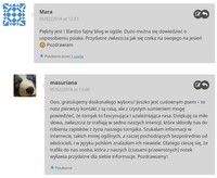Komentarze archiwalne z wordpressowego bloga