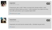 Komentarze archiwalne z wordpressowego bloga
