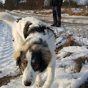 Zlot dziwadeł
