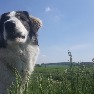 Bąble na niebie